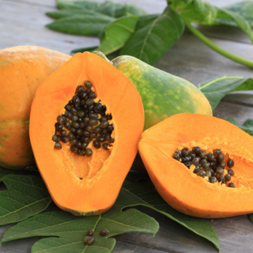 papaya