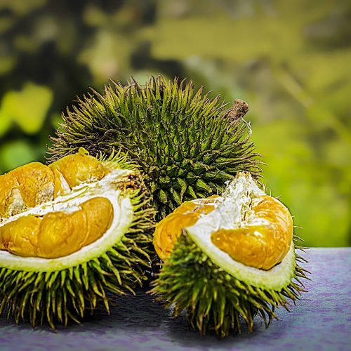 Durian